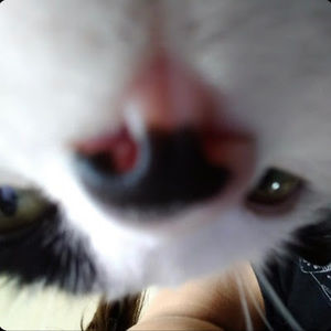 Meet your Posher, Claire